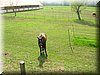 E-DSCN0037.JPG