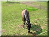 E-DSCN0038.JPG