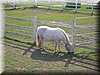 E-DSCN0041.JPG