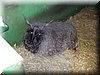 E-DSCN0042.JPG