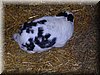 E-DSCN0043.JPG