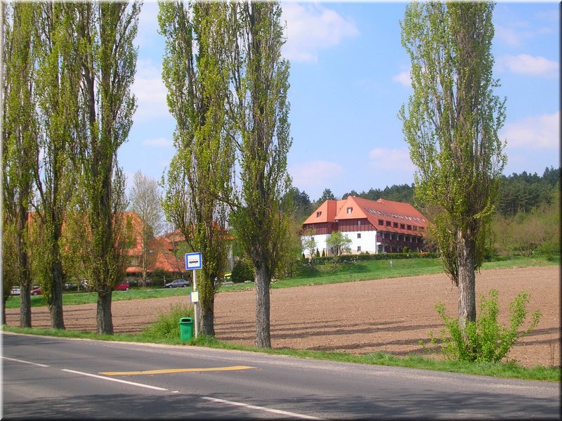 DSCN0051.JPG