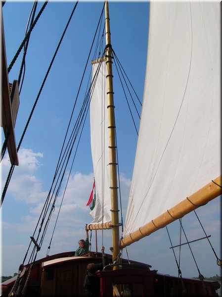 DSCN0081.JPG