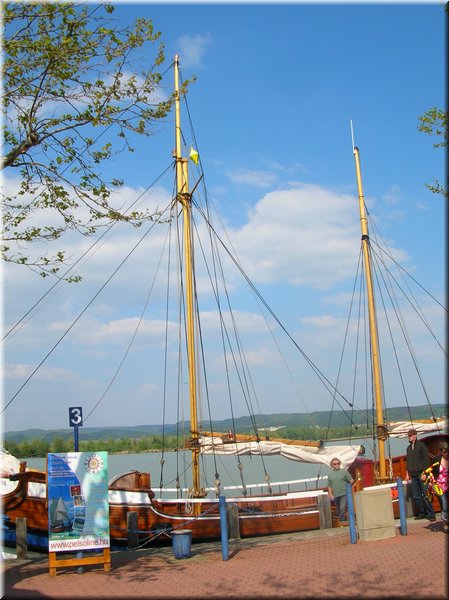 DSCN0084.JPG