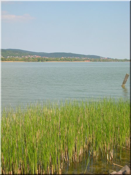 DSCN0090.JPG