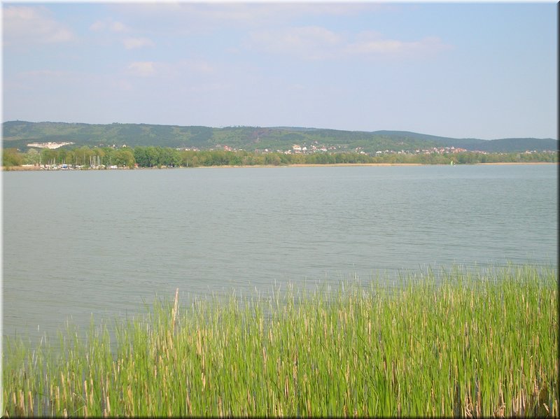 DSCN0091.JPG
