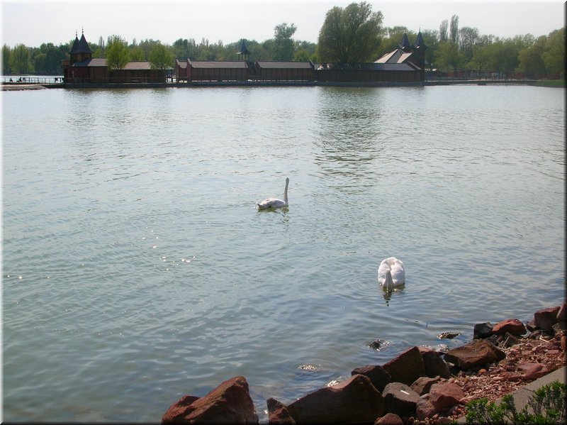 DSCN0092.JPG