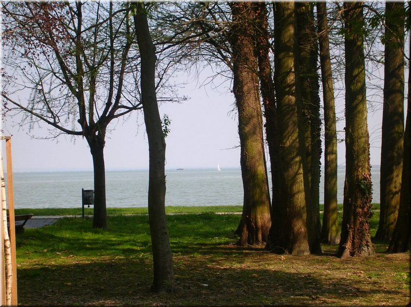 DSCN0111.JPG