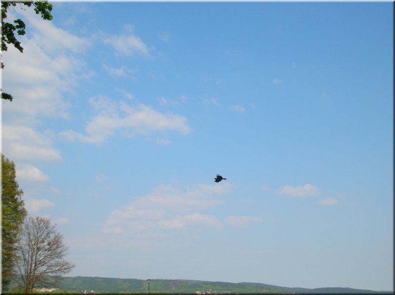 DSCN0123.JPG
