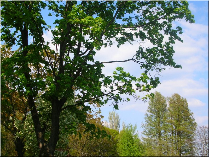 DSCN0124.JPG