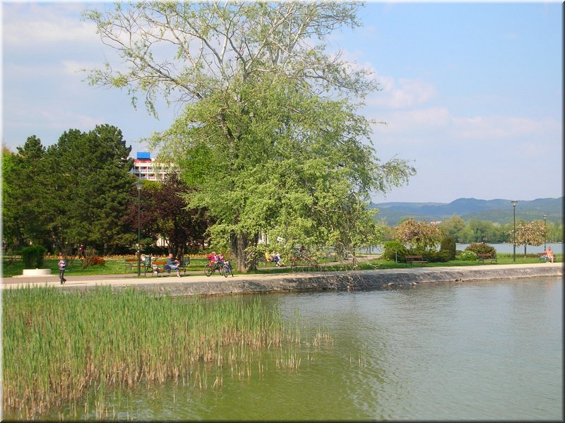 DSCN0144.JPG