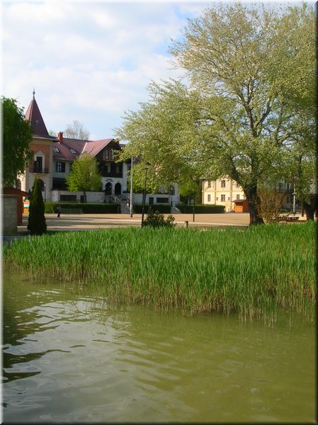 DSCN0145.jpg