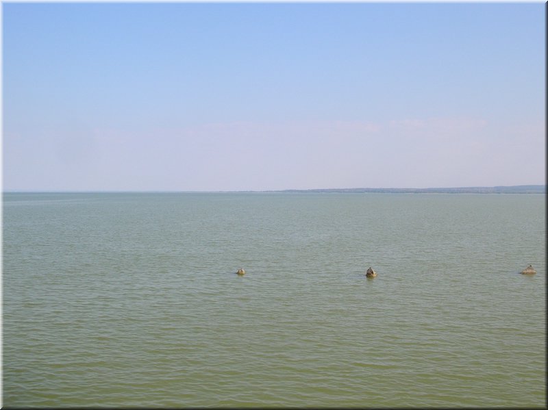 DSCN0147.JPG