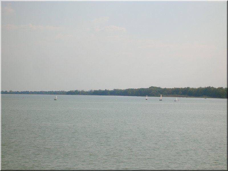 DSCN0154.JPG