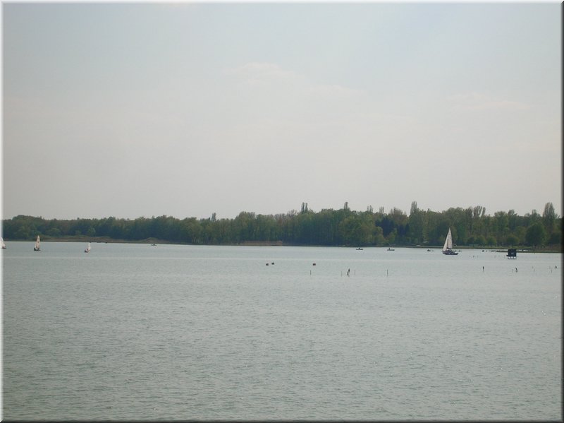 DSCN0155.JPG