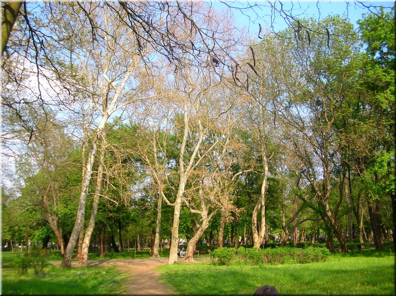 DSCN0159.JPG