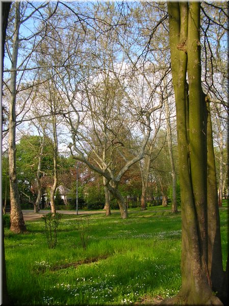 DSCN0160.JPG