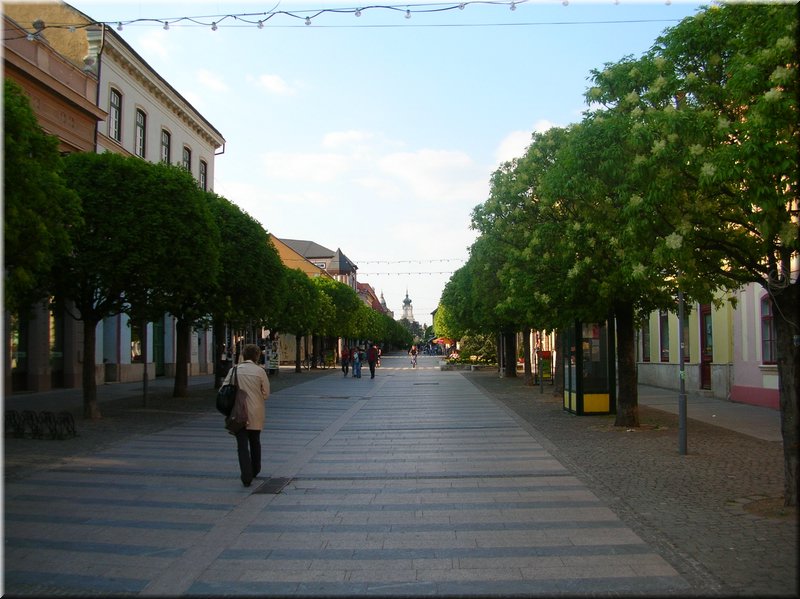 DSCN0164.JPG