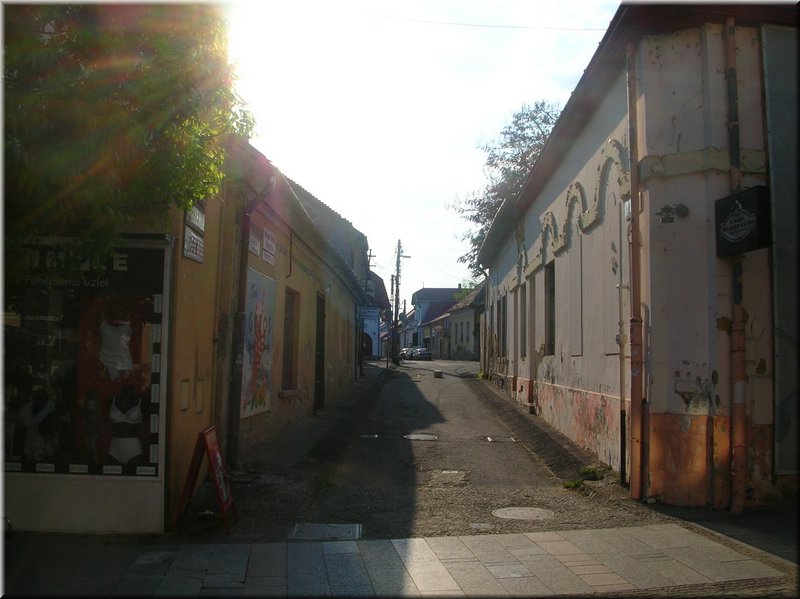 DSCN0166.JPG