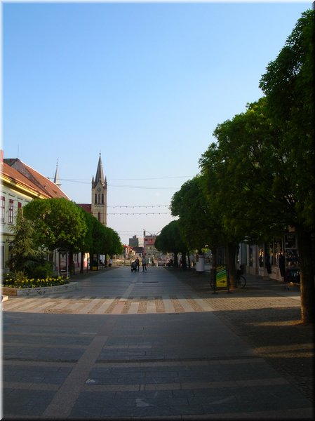 DSCN0167.JPG