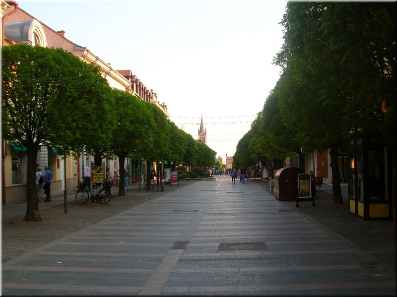 DSCN0175.JPG