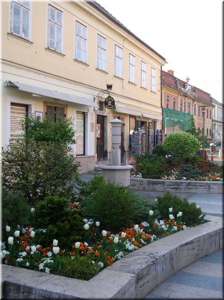 DSCN0176.JPG