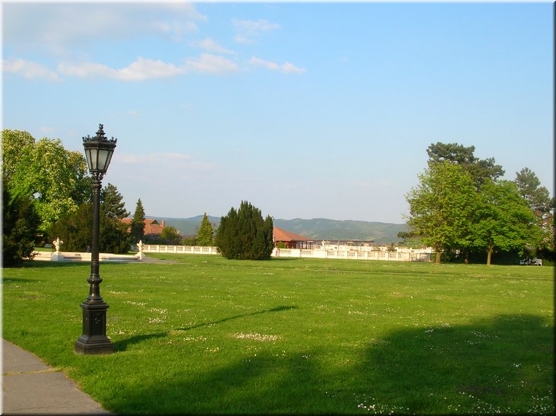 DSCN0184.JPG