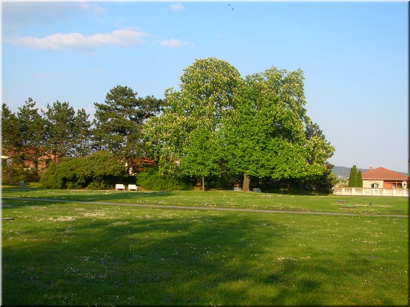 DSCN0190.JPG