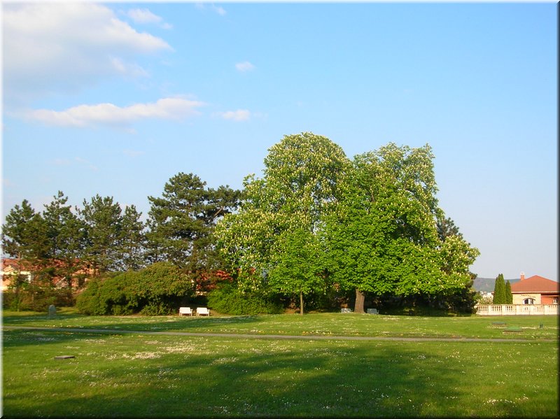 DSCN0191.JPG
