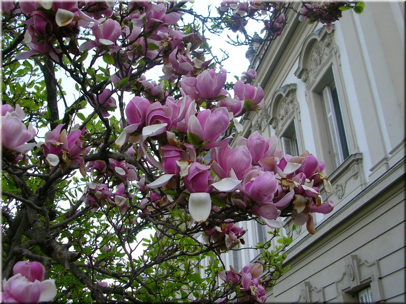 DSCN0193.JPG
