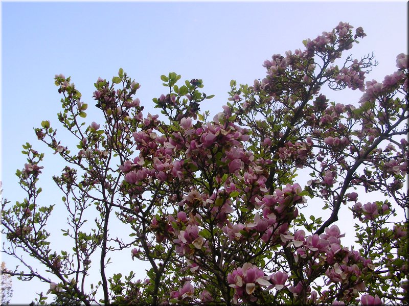 DSCN0199.JPG