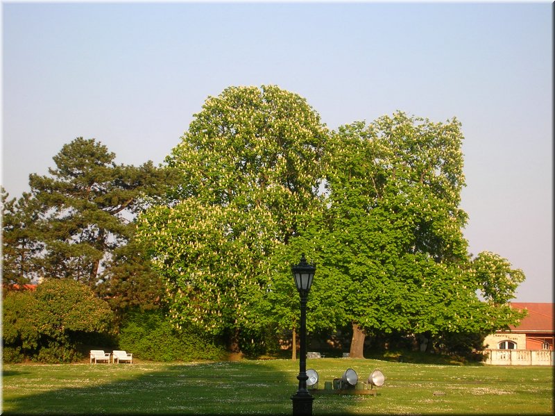 DSCN0200.JPG