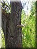 DSCN0054.JPG