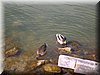 DSCN0089.JPG