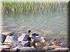 DSCN0093.JPG