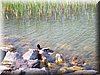DSCN0094.JPG