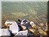 DSCN0095.JPG