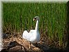 DSCN0096.JPG