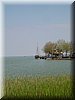 DSCN0102.jpg