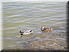 DSCN0105.JPG