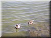DSCN0106.JPG