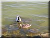 DSCN0107.JPG