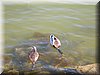 DSCN0108.JPG