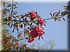DSCN0113.JPG