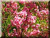 DSCN0114.JPG