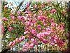 DSCN0115.JPG