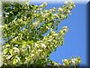DSCN0117.JPG