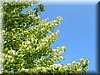 DSCN0118.JPG