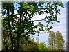 DSCN0124.JPG