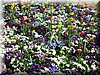 DSCN0126.JPG